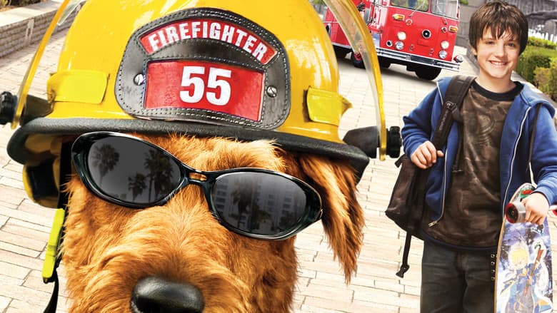 Firehouse Dog still