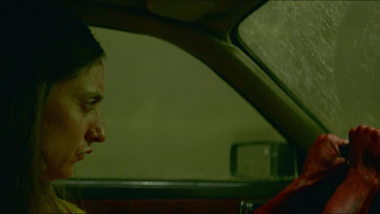 Ferine still