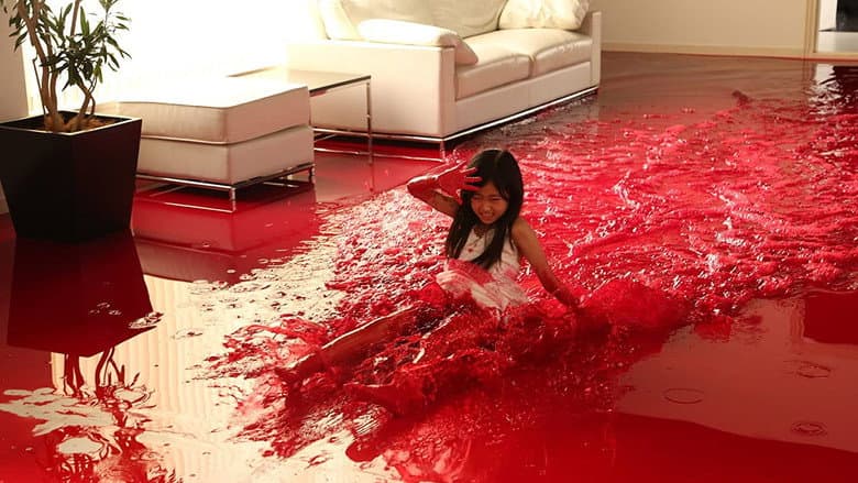 Why Don't You Play in Hell? still