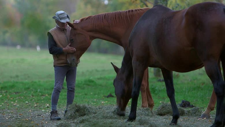 Un cavalier, un rêve, Boucane still