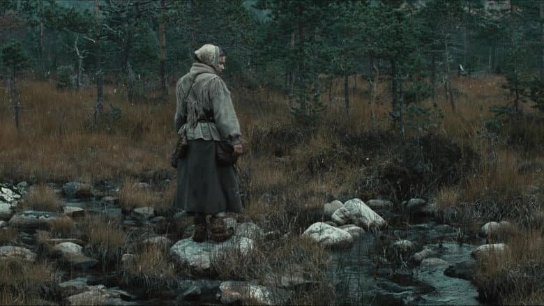 The Cuckoo still