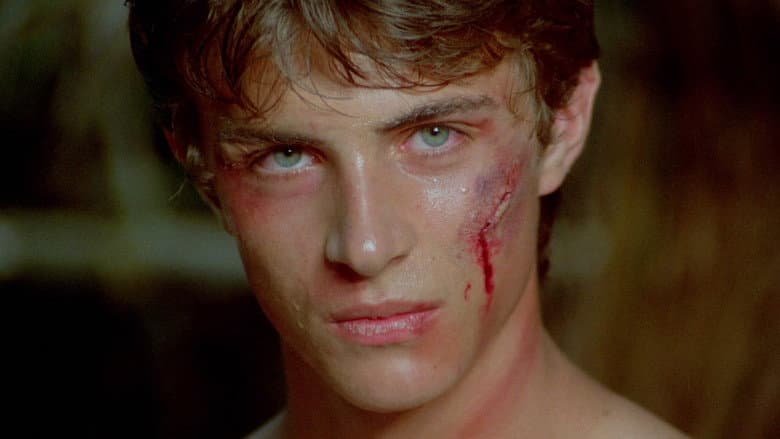 Karate Warrior still