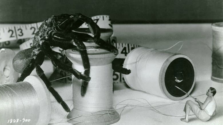 The Incredible Shrinking Man still