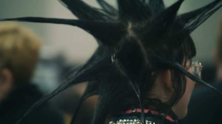 Beyond The Mask: Unmasking Stereotypes in Alternative Subcultures still