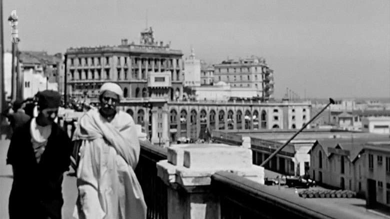 Algeria 1943: A Colony Under Vichy Control still