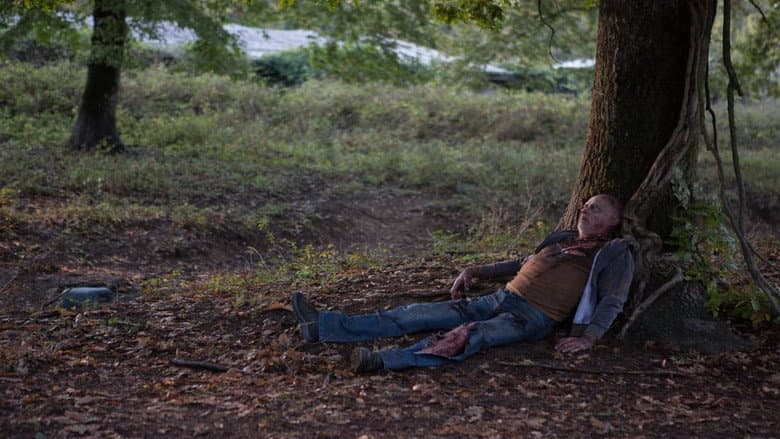 Shadow of the Wolf still