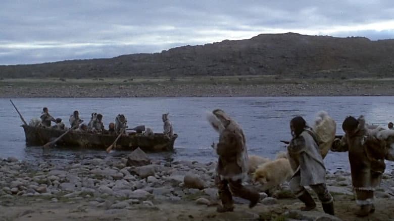 The White Dawn still