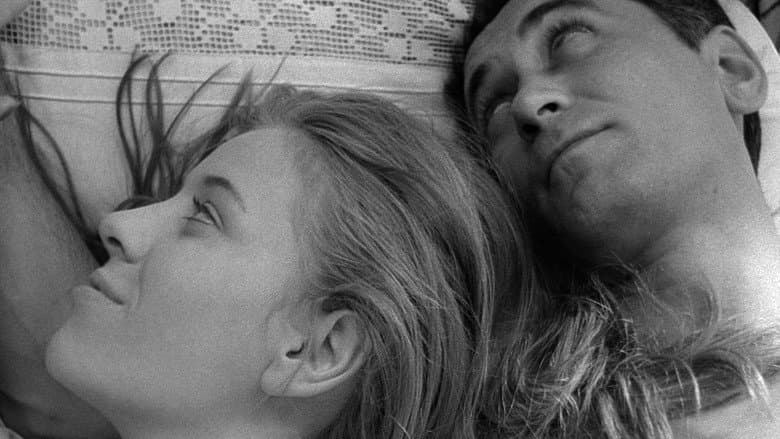 Love Affair, or the Case of the Missing Switchboard Operator still