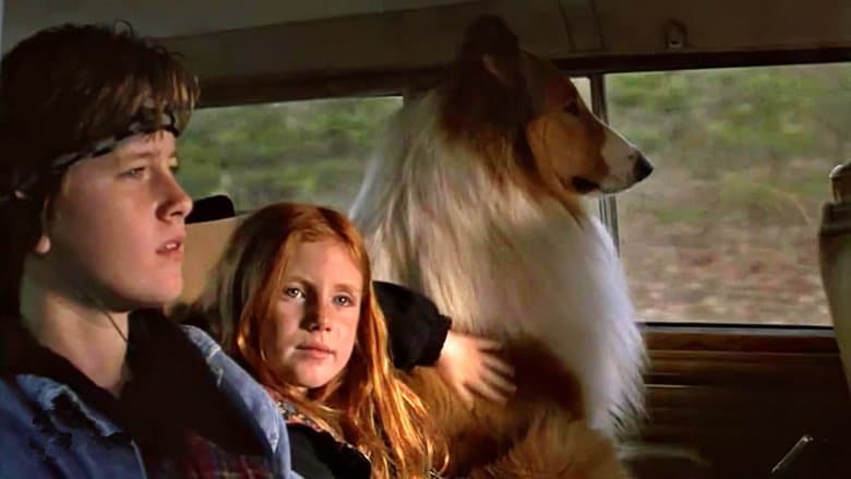 Lassie still