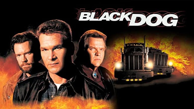 Black Dog still