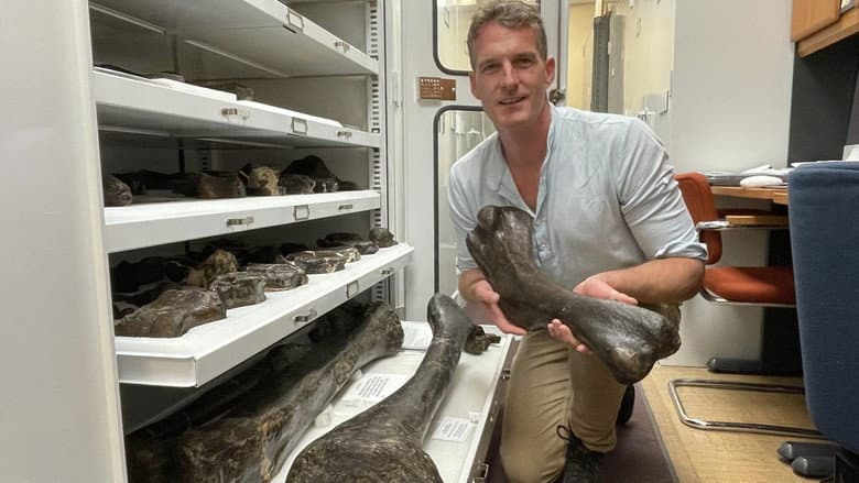 Into Dinosaur Valley with Dan Snow still