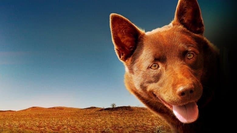 Red Dog still