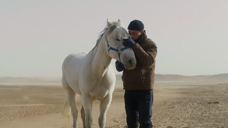 To Kill a Mongolian Horse still