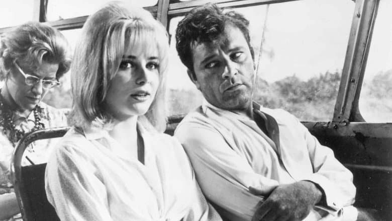 The Night of the Iguana still