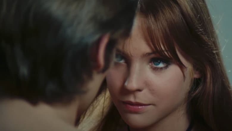The Bloodstained Butterfly still