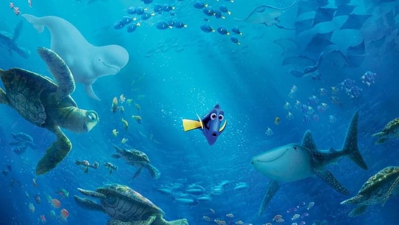 Finding Dory still