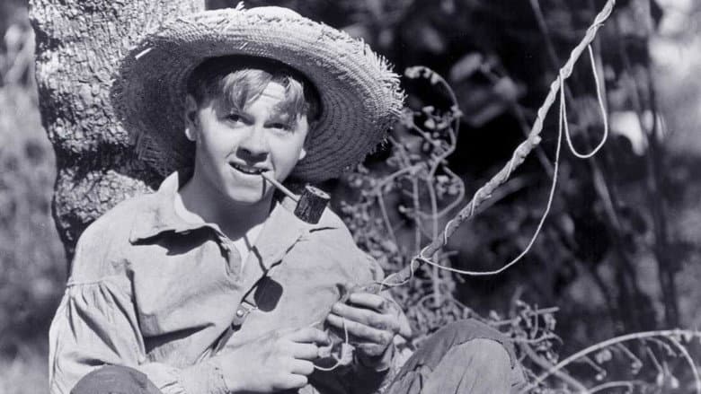 The Adventures of Huckleberry Finn still