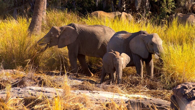 Namibia, Sanctuary of Giants still