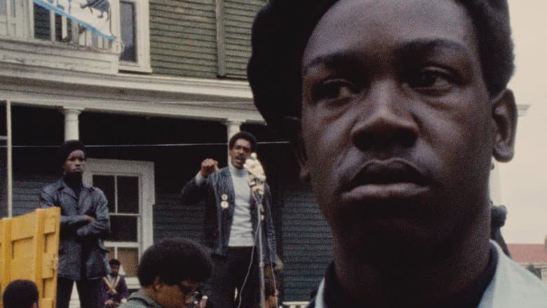 Black Panthers still
