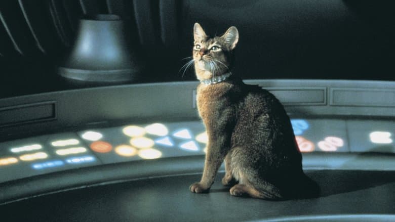 The Cat from Outer Space still