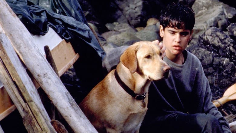 Far from Home: The Adventures of Yellow Dog still