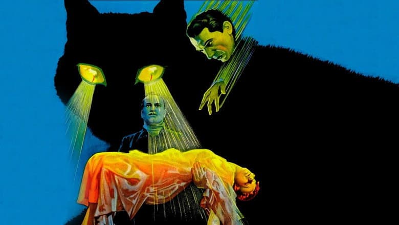 The Black Cat still