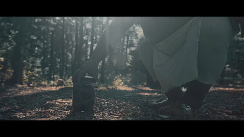 Truffle still