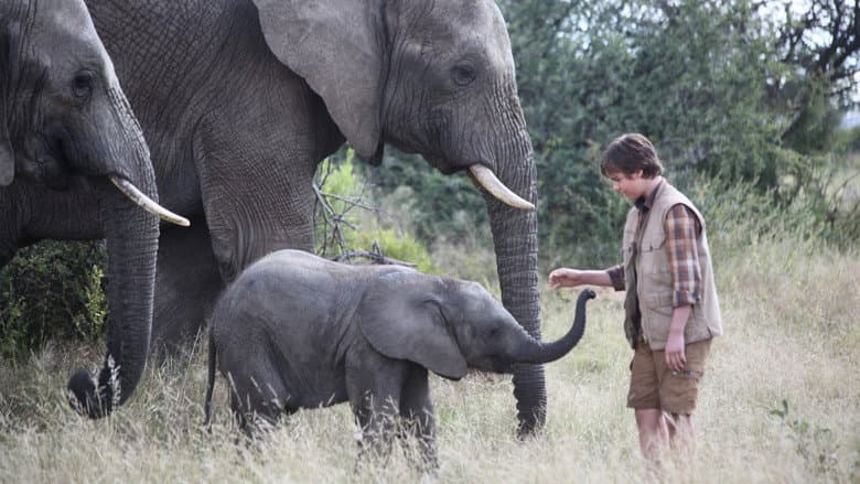An Elephant's Journey still