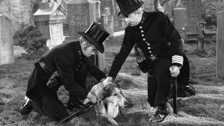 Challenge to Lassie still