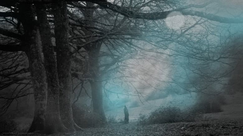 Three Mirrors Creature's Flashes of Flesh still