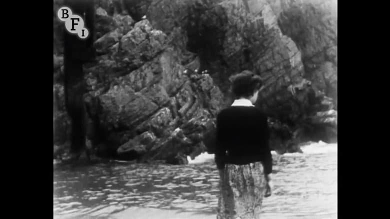 The Starfish still
