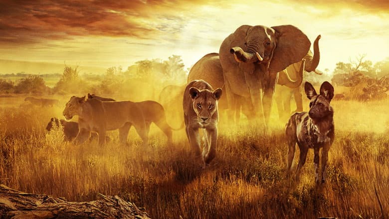 Surviving Paradise: A Family Tale still