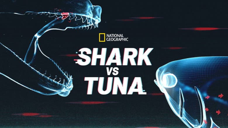 Shark vs. Tuna still