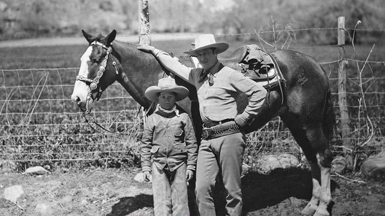 The Vanishing Pioneer still