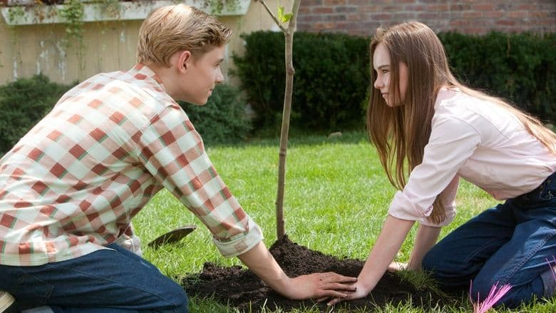 Flipped still