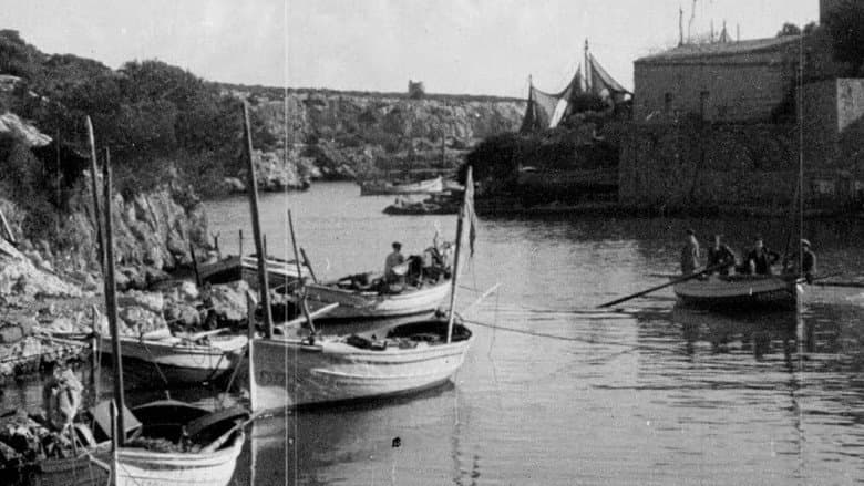 Mallorca still