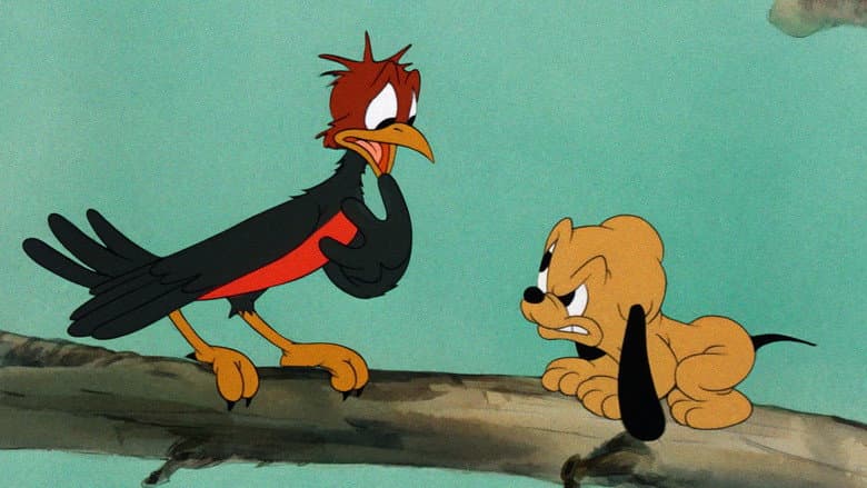 Pluto Junior still