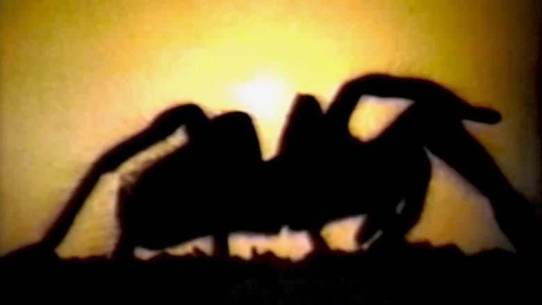 Tarantella still