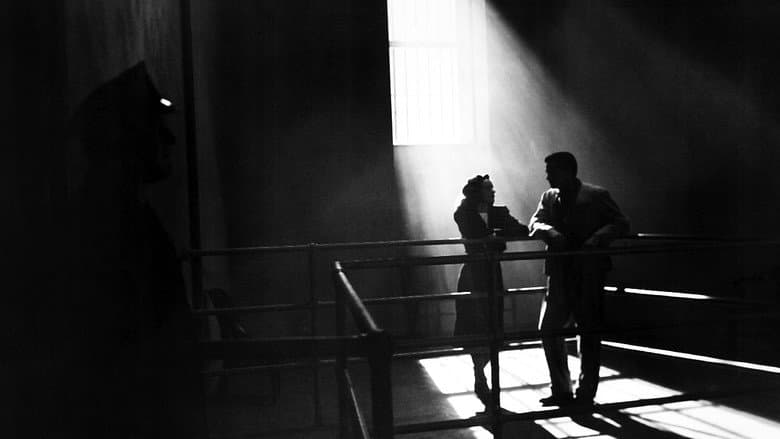 Phantom Lady still