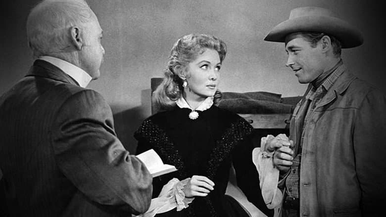 Bullwhip still