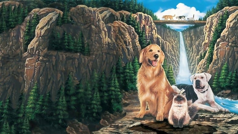 Homeward Bound: The Incredible Journey still