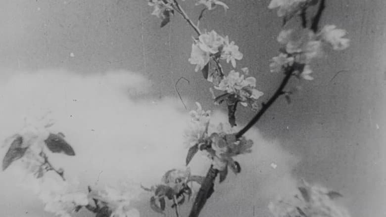 Bezhin Meadow: Sequences from an Unfinished Film still