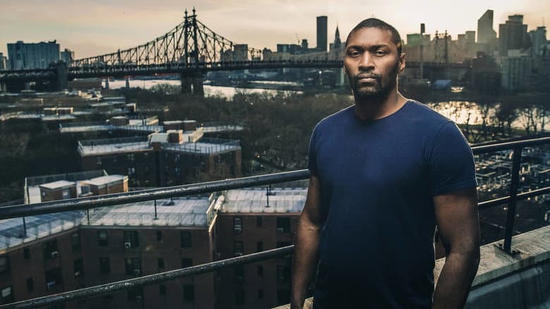 Quiet Storm: The Ron Artest Story still