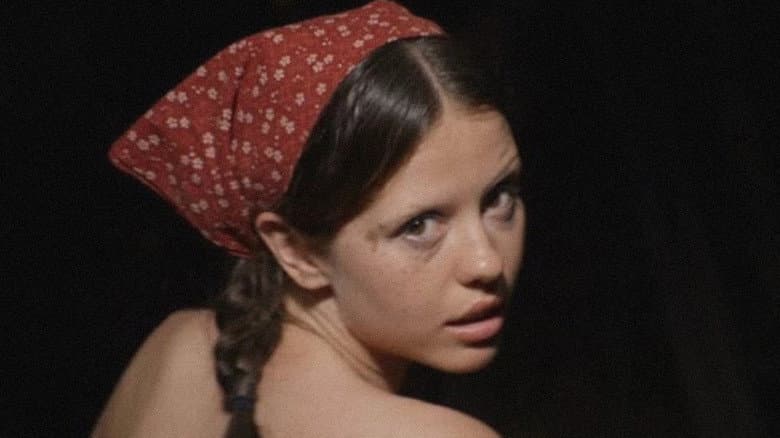 The Farmer's Daughters still