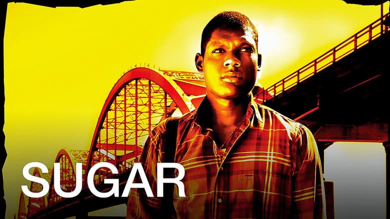 Sugar still
