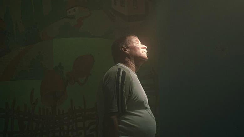 The Basement still