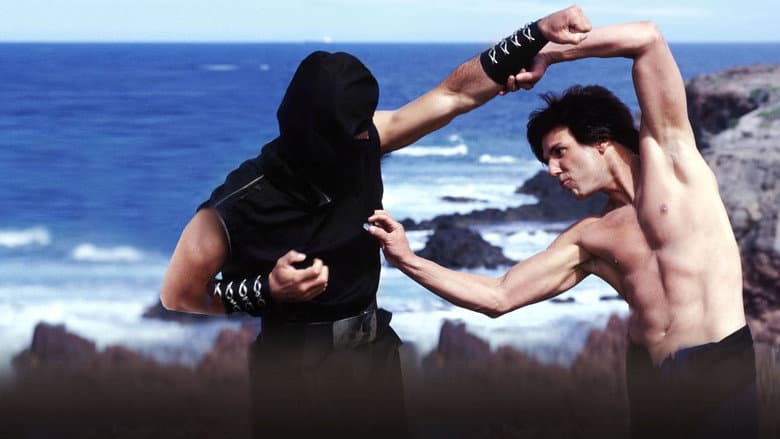 Kung Pow: Enter the Fist still