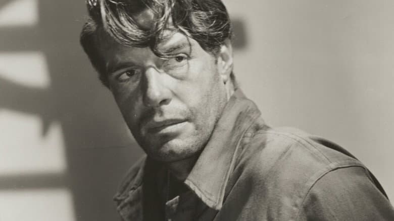 Prisoner of War still