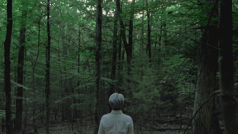 Ryuichi Sakamoto: CODA still