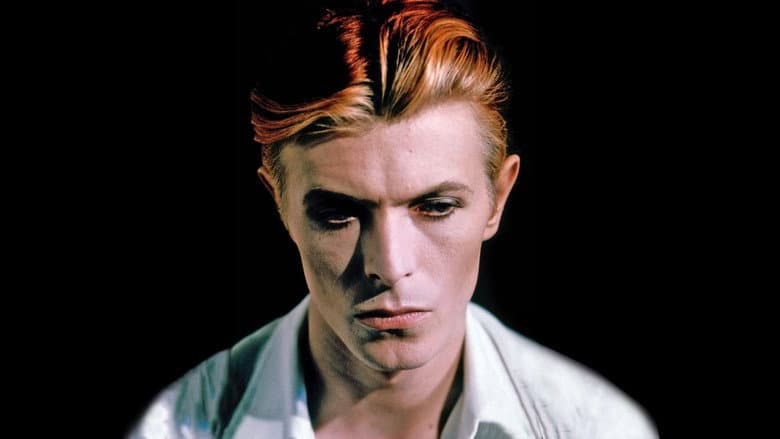 The Man Who Fell to Earth still